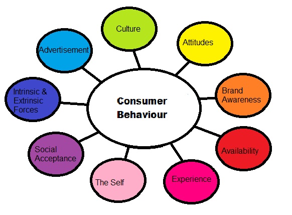 Consumer behaviour