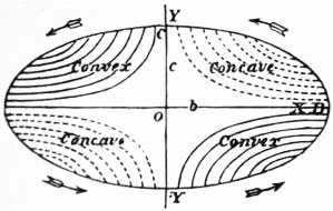 Elasticity (economics)